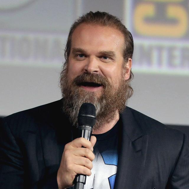 David Harbour watch collection